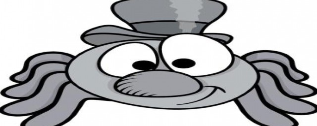 一般的蜘蛛有几只眼睛(普通蜘蛛有几只眼睛)