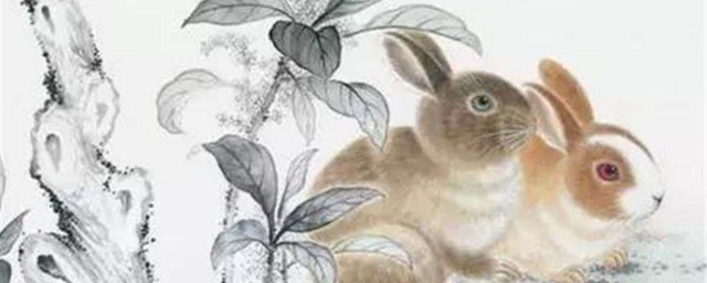 这三个生肖最配(什么生肖相配最好)