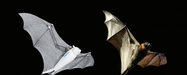 有多少种类(魔方有多少种类)