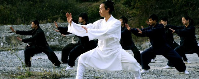 空手道和散打具体介绍(空手道散打区别)