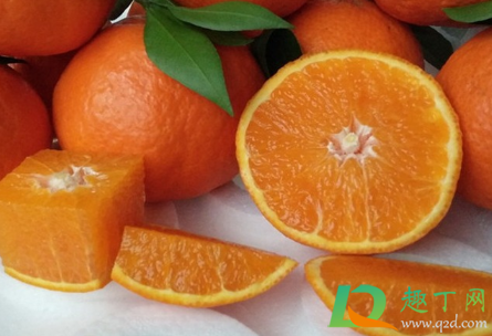 如何辨别爱媛38号果冻橙(爱媛果冻橙和38号一样吗) 如何辨别爱媛38号果冻橙(爱媛果冻橙和38号一样吗)