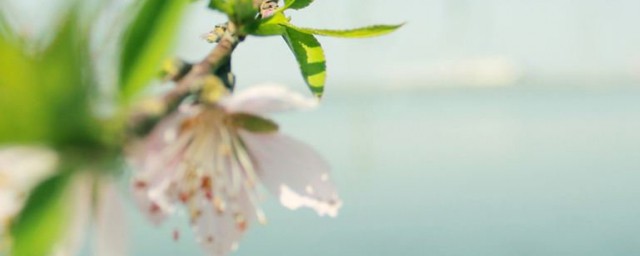 告诉人们不要辜负美好的时光(愿所有美好的时光都不会被辜负)