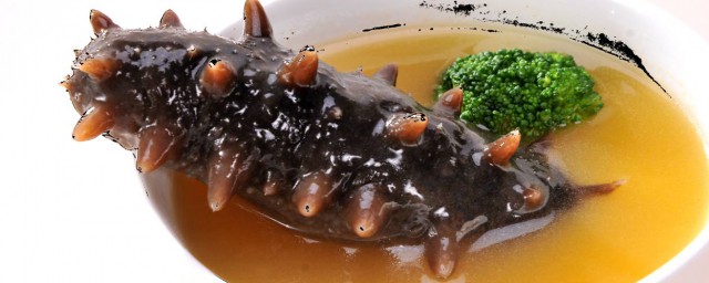 海参有什么营养价值(海参补什么)