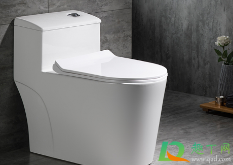 袜子掉马桶里冲走了会不会堵(袜子掉马桶里会不会堵住)