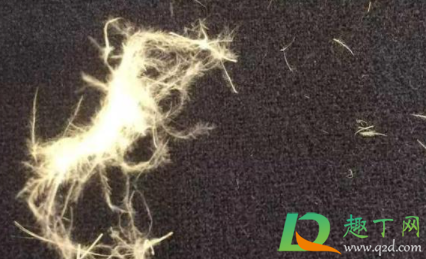 怎么看是不是假羽绒服(如何判断羽绒服的真假)