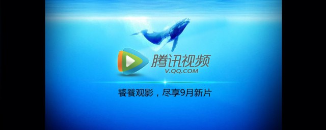 腾讯视频手机下载的视频地址(手机腾讯视频下载地址在哪看?)