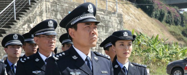 这些电视剧主要讲的案件内容是什么？(有个电视剧叫什么案件)