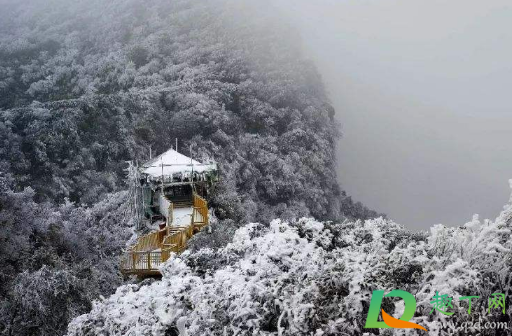 重庆2021元旦会下雪吗(重庆哪些地方在下雪) 重庆2021元旦会下雪吗(重庆哪些地方在下雪)