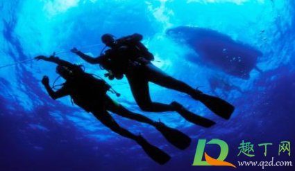 水母衣是干嘛用的(水母服是什么样子)