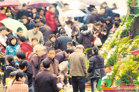 今年冬至扫墓要预约吗2020(2020冬至扫墓时间)