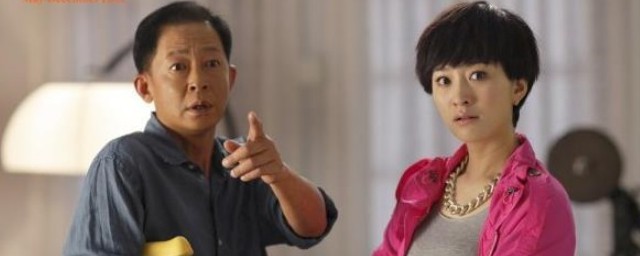 剧中的主演有哪些?(主演是谁演的)