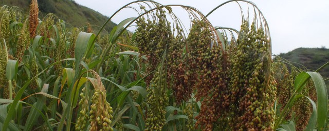 北方地域多大(北方多大面积)