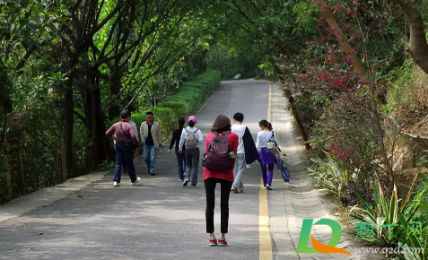 过完冬至还可以上坟吗(冬至过后还可以上坟吗)