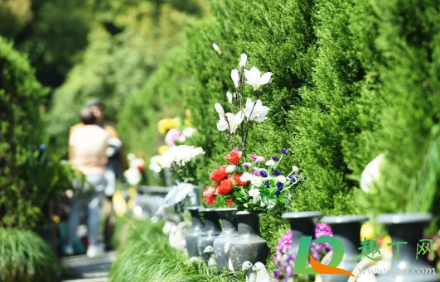 2021冬至扫墓可以下午去吗(2021年端午节可以扫墓吗)