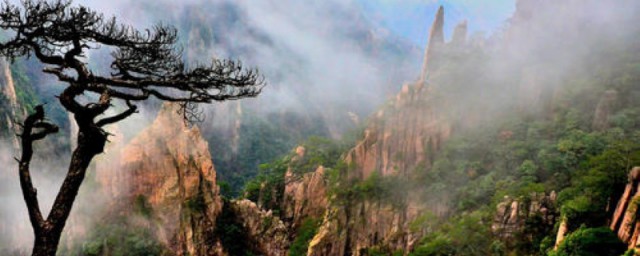 两者有什么不同(两者有什么不同英语)