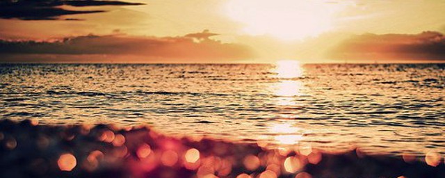 浑水变清的方法(浑水怎样马上变清水)