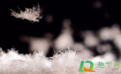 羽绒服面料硬一点好还是软一点好(羽绒服是硬料好还是软一点好) 羽绒服面料硬一点好还是软一点好(羽绒服是硬料好还是软一点好)