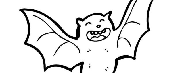 蝙蝠有多少品种(蝙蝠品种名称)