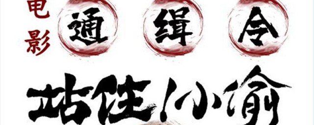 站住小偷是哪个导演的作品(小偷演员豆瓣)