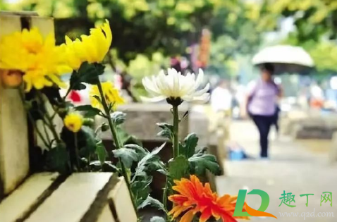 亲人去世冬至第一年要上坟吗(过年什么时间给已故的亲人上坟) 亲人去世冬至第一年要上坟吗(过年什么时间给已故的亲人上坟)