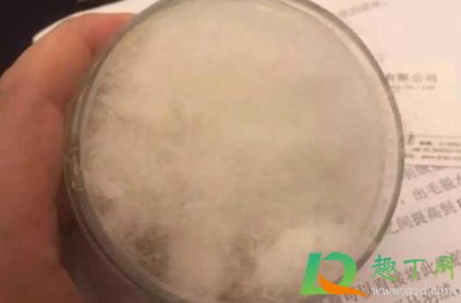 怎么看是不是假羽绒服(如何判断羽绒服的真假)