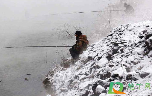 重庆2021元旦会下雪吗(重庆哪些地方在下雪) 重庆2021元旦会下雪吗(重庆哪些地方在下雪)