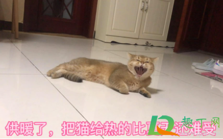 地暖不热怎么放水才能热(地暖不热怎么放水才能热回水阀一个压力表) 地暖不热怎么放水才能热(地暖不热怎么放水才能热回水阀一个压力表)