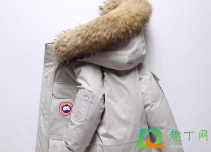 飞丝绒是什么材料做的(丝绒一般是什么材料) 飞丝绒是什么材料做的(丝绒一般是什么材料)