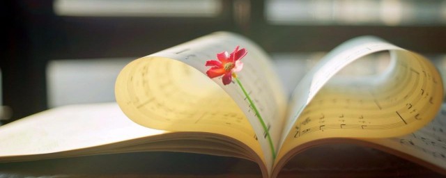 出自哪篇论文(论文出处指的是?)