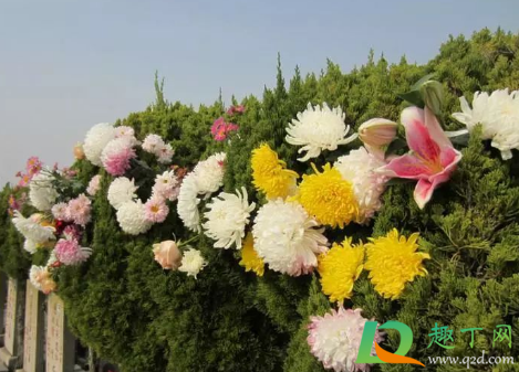 今年冬至扫墓要预约吗2020(2020冬至扫墓时间)