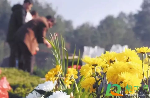 过完冬至还可以上坟吗(冬至过后还可以上坟吗)