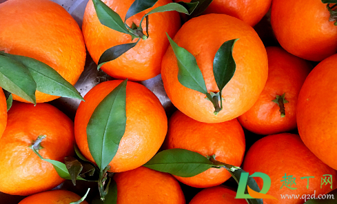 果冻橙吃了致癌真的假的(买到假的果冻橙) 果冻橙吃了致癌真的假的(买到假的果冻橙)