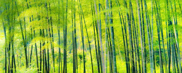 具体种植方法教程(种植方法图片)