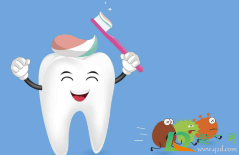 荷兰拔智齿什么意思(拔牙的意思) 荷兰拔智齿什么意思(拔牙的意思)