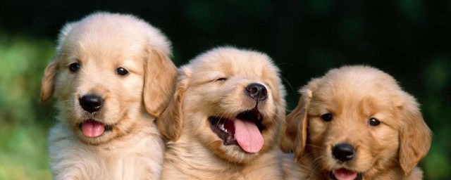 这三种有你喜欢的吗(喜欢你有很多种 但对你只有一种)