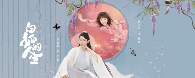 白狐的人生剧情简介(白狐的人生大结局)