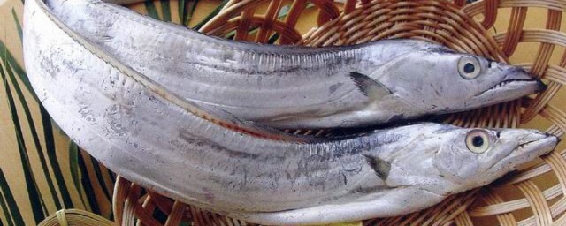 带鱼营养价值(香酥带鱼的营养价值)