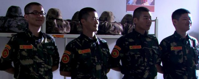 电视剧主要说什么故事(故事就是故事是哪个电视剧)