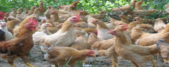 估算大概多少(估算要怎么估算)