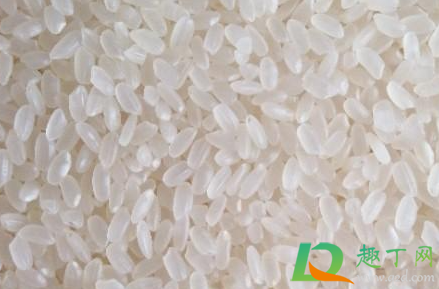 大米长白色肉虫还能吃吗(大米长白色肉虫怎么办)