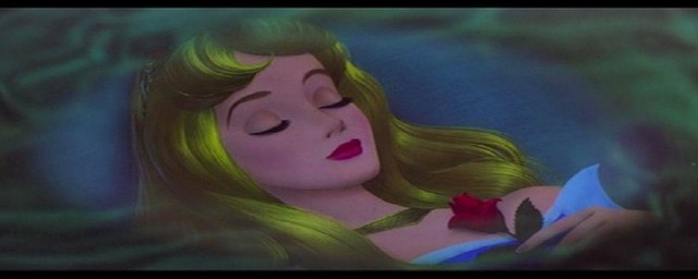 睡美人公主的介绍(睡美人小公主)