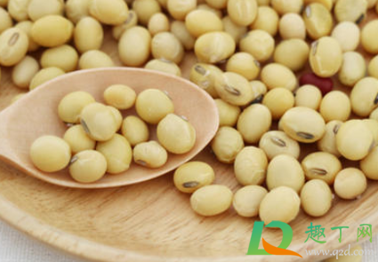 黄豆里的虫子有毒吗(生了虫子的黄豆还能吃吗是否有毒) 黄豆里的虫子有毒吗(生了虫子的黄豆还能吃吗是否有毒)