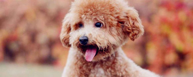 原来原因是这样(原来是什么原因)