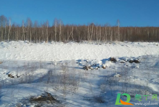 冬天雪多对庄稼好吗(冬天不下雪对庄稼有什么影响)