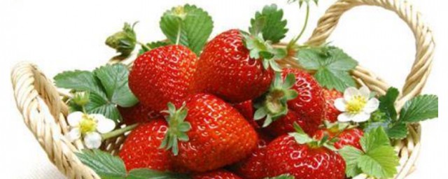 草莓有什么营养价值(草莓有什么营养价值啊权吗)