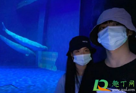 焉栩嘉一心一意道歉模版合集 焉栩嘉一心一意道歉模版合集