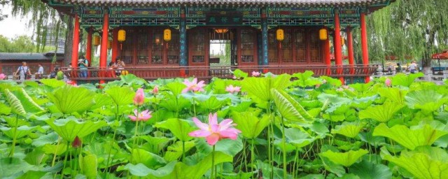 三部以明朝为背景的电视剧(以明朝为题材的电视剧)