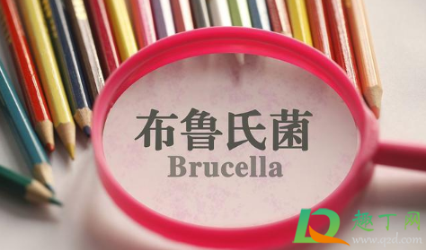 现在兰州布病能去吗(兰州布病会传染吗?现在还能去甘肃吗?)