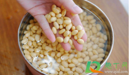 黄豆泡发多久合适(黄豆泡发要多久)
