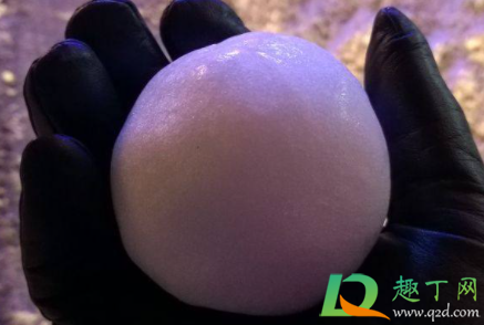 打雪仗要戴手套吗(打雪仗穿什么衣服) 打雪仗要戴手套吗(打雪仗穿什么衣服)